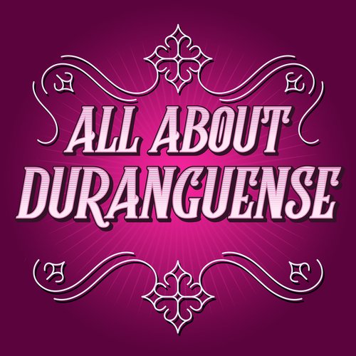 Sólo Dejé Yo A Mi Padre Lyrics - All About Duranguense - Only on JioSaavn
