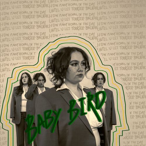 Babybird cover art