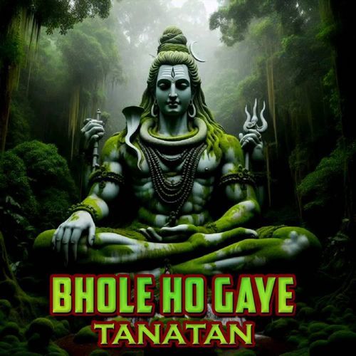 Bhole Ho Gaye Tanatan