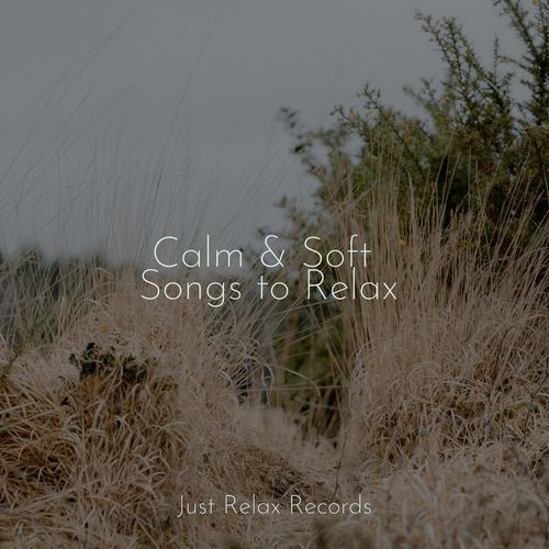 Calm & Soft Songs to Relax