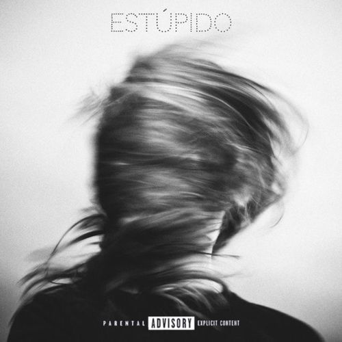 ESTÚPIDO