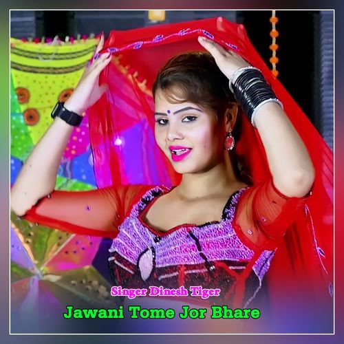 Jawani Tome Jor Bhare