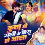 Kutta Bhi Gali Ke Bos Ho Jala