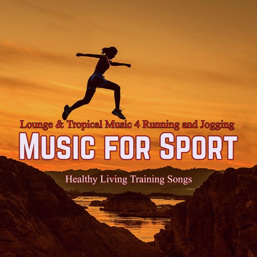 The Lounge Room - Training Music cover art