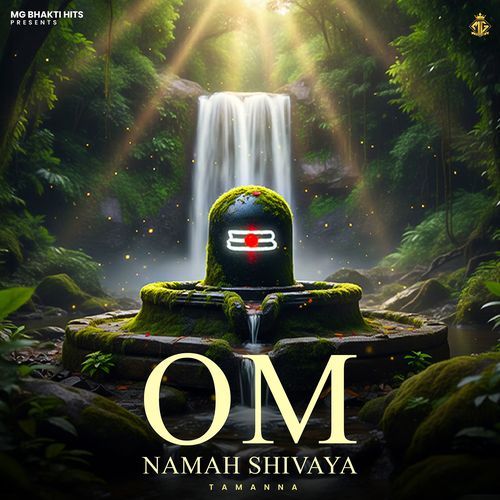 Om Namah Shivaya