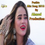 Waheed tapeezy