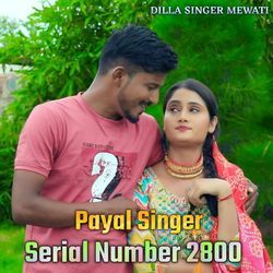 Payal Singer Serial Number 2800-A1kSdSwBU1Q