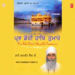 Prabh Dori Haath Tumhare (Vyakhya Sahit)