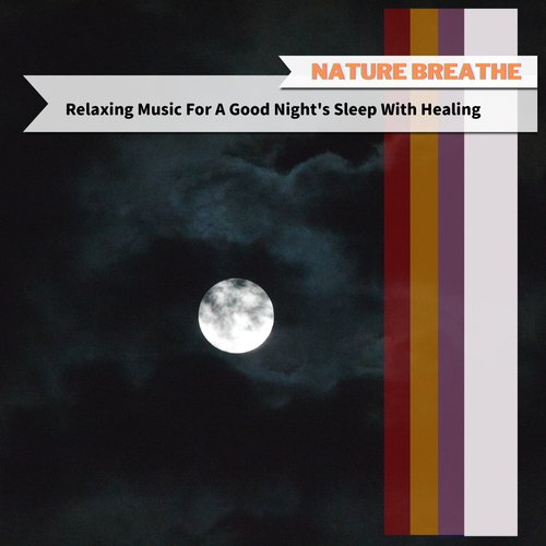 Mindful of the Night