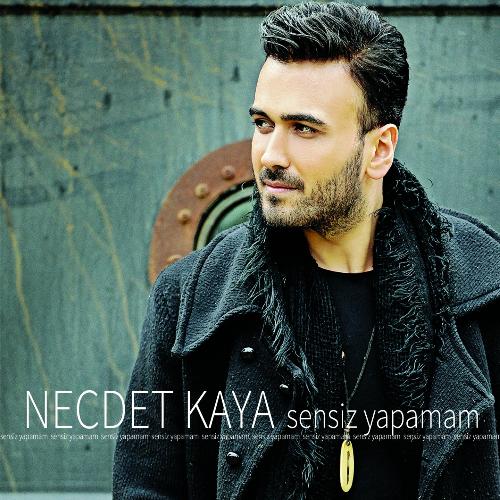 Necdet Kaya