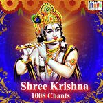 Shri Krishna 1008 chants