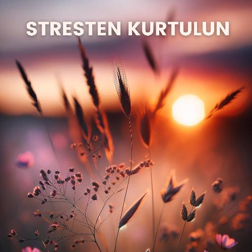 Stresten Kurtulun: Stresi Azaltmak için Rahatlatıcı Doğayla Sakin Meditasyon Uygulaması_poster_image