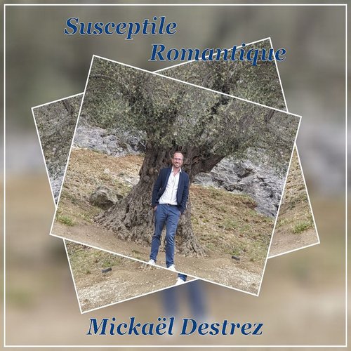 Susceptible Romantique cover art