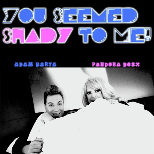 You Seemed Shady to Me_poster_image