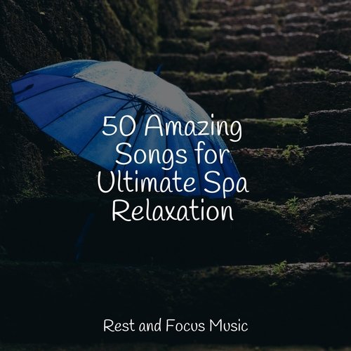 50 Amazing Songs for Ultimate Spa Relaxation_poster_image