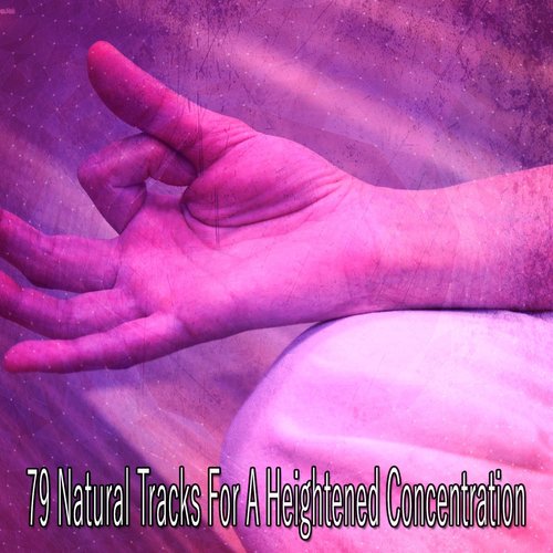 79 Natural Tracks For A Heightened Concentration
