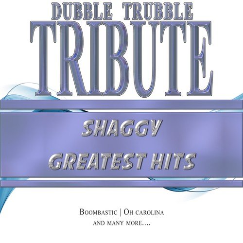A Tribute To - Shaggy