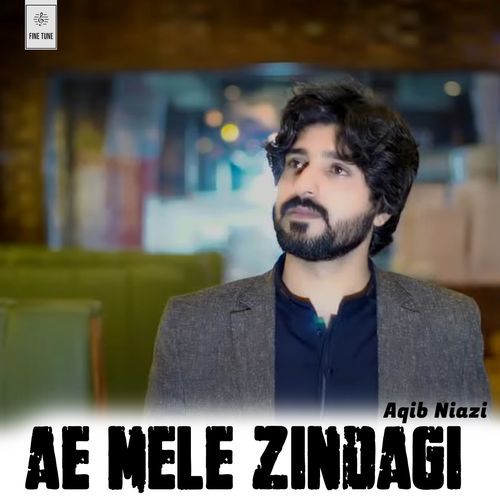 Ae Mele Zindagi