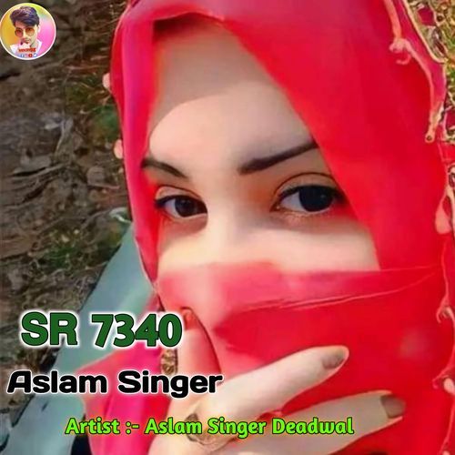 Aslam Singer SR 7340