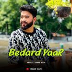 Bedard Yaar