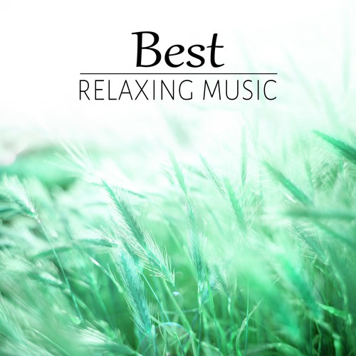 Sea Waves Sounds cover art
