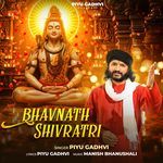 Bhavnath Shivratri