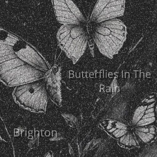 Butterflies In The Rain_poster_image