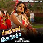 Chauhan Hai Re Pagli System Hila Dehab