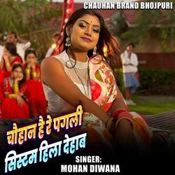 Chauhan Hai Re Pagli System Hila Dehab