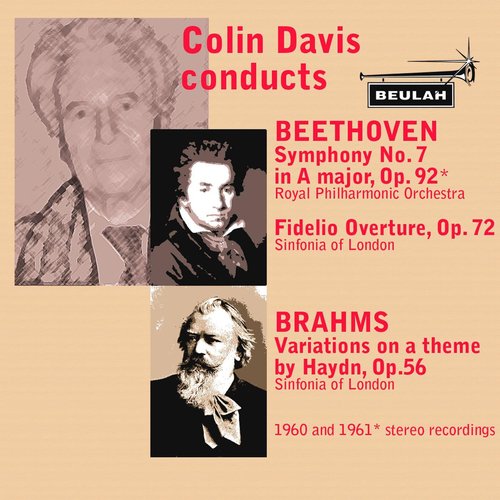 Variations On a Theme By Haydn Op. 56 : Variation V. Vivace - Poco presto