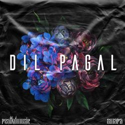 Dil Pagal-PSQfSC5SYUs