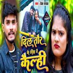 Dil Tour Ke Thik Nai Kailhi