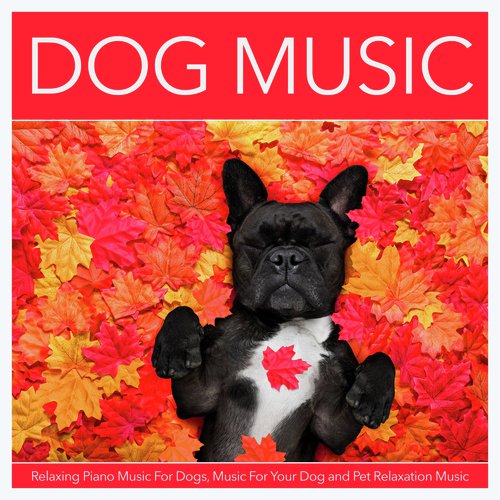 Dog Music Experience
