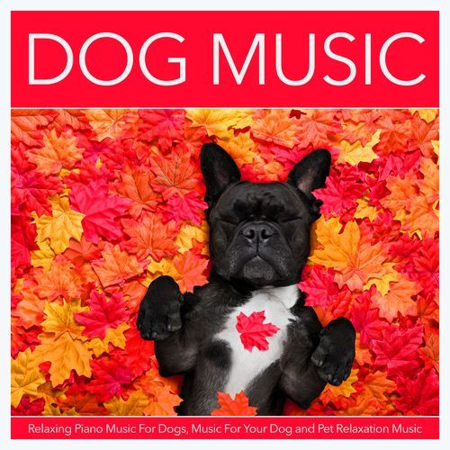Doggy Piano Music (feat. Musicas de Piano Masters & Relaxing Piano Music Consort) cover art