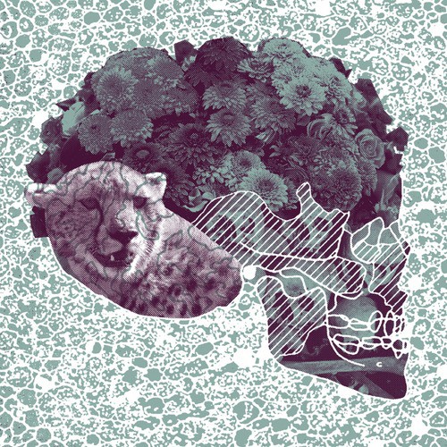 Tiny Knives cover art