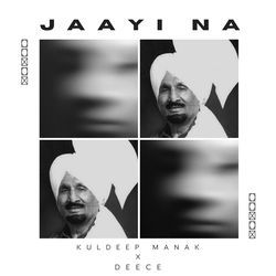 JAAYI NA (Remix)-Mlssei0HTns