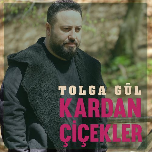 Tolga Gül