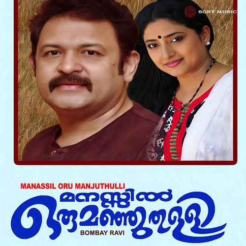 Pranayikkukayaayirunnu Naam (Female Version) cover art