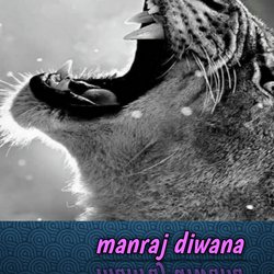 Manraj Diwana-MzwjeS14Yl0