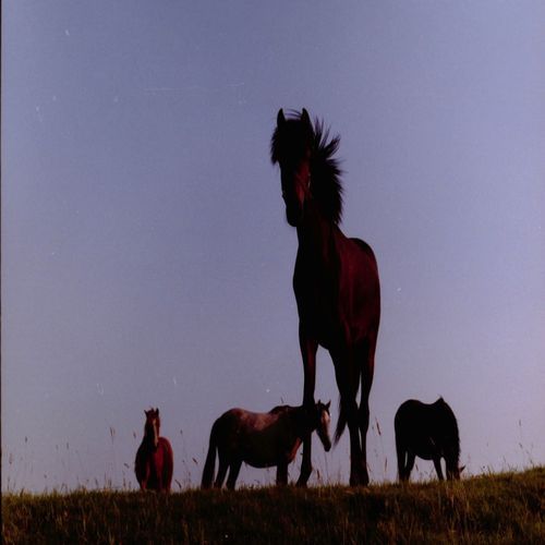 Mean and Bad cover art