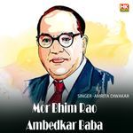 Mor Bhim Rao Ambedkar Baba