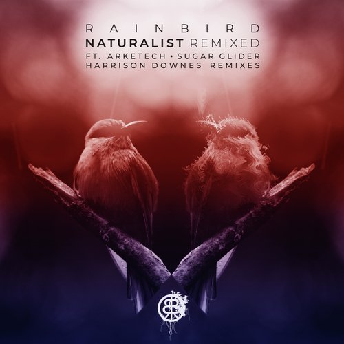 Naturalist | Remixed