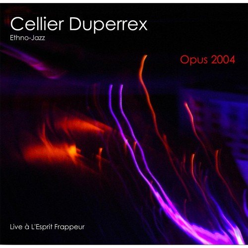 Opus 2004