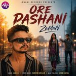 Ore Pashani