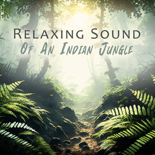 Happy Jungle cover art