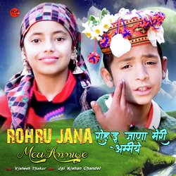 Rohru Jana Meri Aamiye-QV0JYTV3YEM