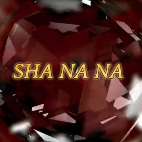 Sha Na Na cover art