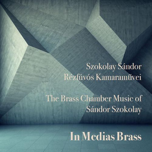 Hommage Á Bartók: III. Bizzaria