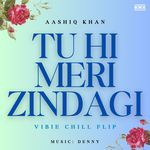 Tu Hi Meri Zindagi (Vibie Chill Flip)
