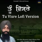 Tu Visre Lofi Version Bhai Bhupinder Singh Ji Khanne Wale